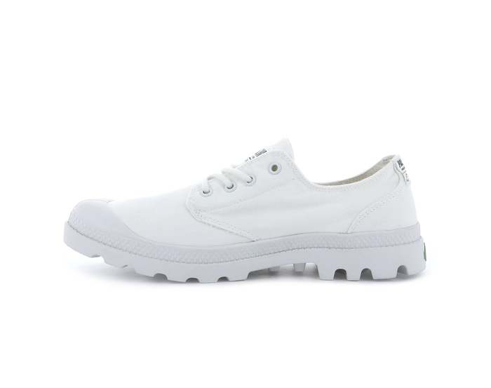 76643-116-M | PAMPA OX ORGANIC | STAR WHITE