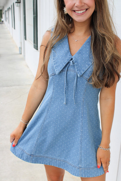 Florence Fit and Flare Denim Mini Dress