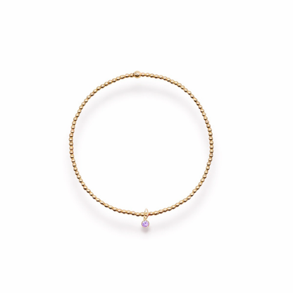 Birthstone Charm Bracelet