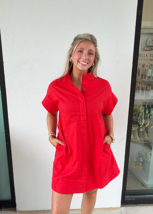 Abigail Shirt Dress